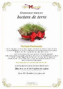 Le certificat numérique