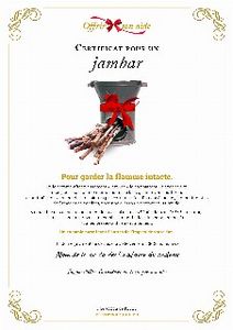 Le certificat numérique