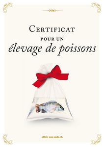 Le certificat imprimé