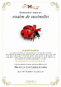 Le certificat numérique