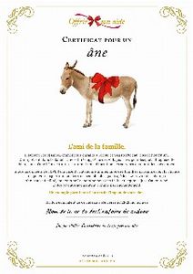 Le certificat numérique