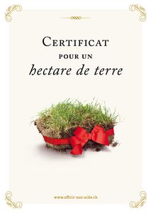 Le certificat imprimé