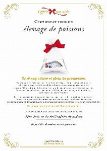Le certificat numérique