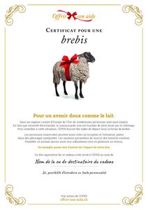 Le certificat numérique