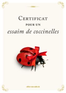 Le certificat imprimé