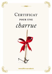 Le certificat imprimé