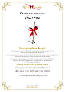 Le certificat numérique