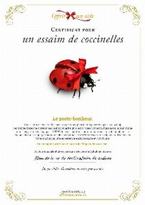 Le certificat numérique