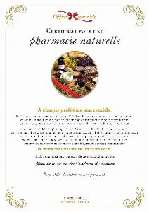 Le certificat numérique