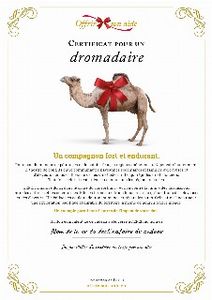 Le certificat numérique