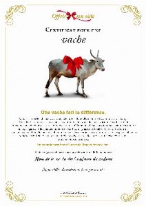 Le certificat numérique