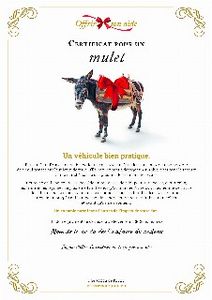 Le certificat numérique