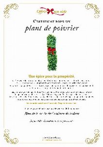 Le certificat numérique