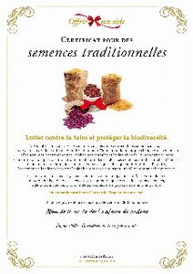 Le certificat numérique