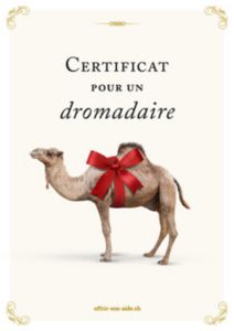 Le certificat imprimé