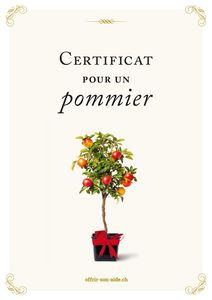 Le certificat imprimé