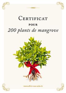 Le certificat imprimé