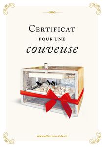 Le certificat imprimé