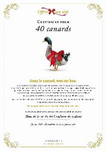 Le certificat numérique