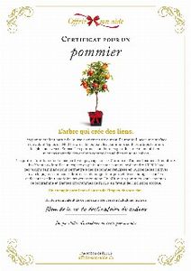 Le certificat numérique