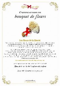 Le certificat numérique