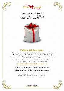 Le certificat numérique