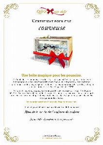Le certificat numérique