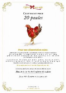 Le certificat numérique