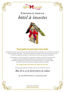Le certificat numérique