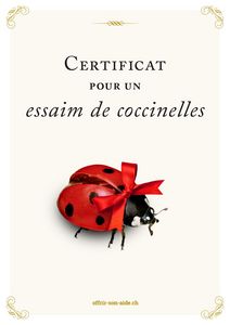 Le certificat imprimé
