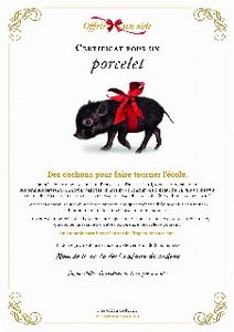Le certificat numérique