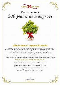Le certificat numérique