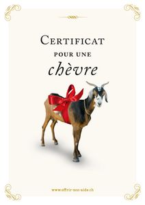 Le certificat imprimé