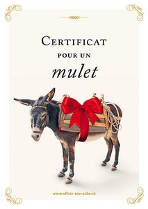 Le certificat imprimé