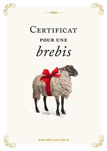 Le certificat imprimé