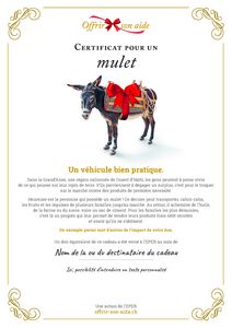 Le certificat numérique