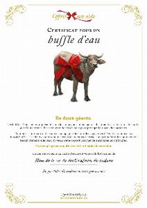 Le certificat numérique