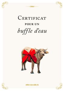 Le certificat imprimé