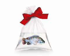 Fisch_V1_rgb.png